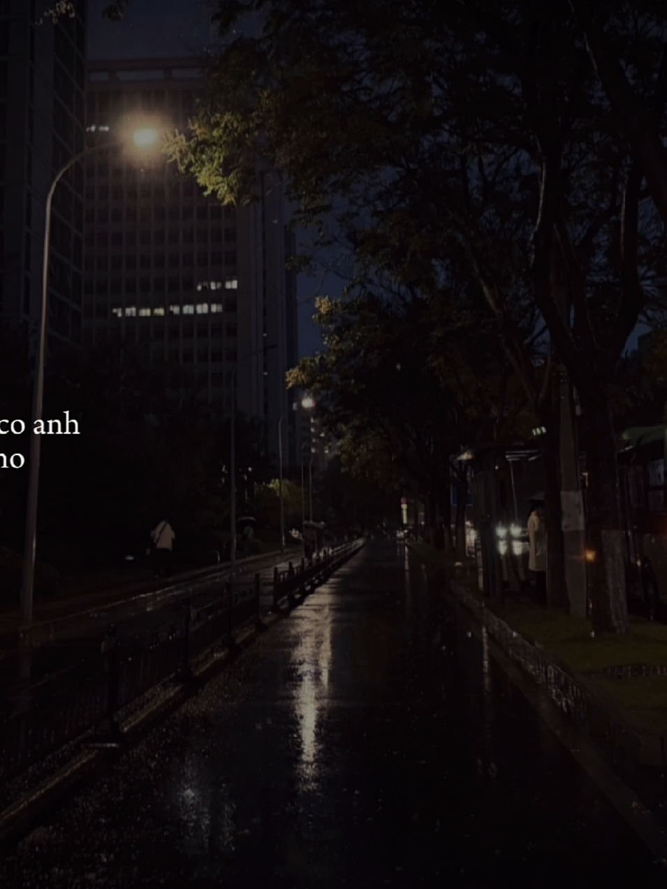 Phía xa vời có anh đang chờ...!#nhachaymoingay #nhactamtrang #tamtrang 