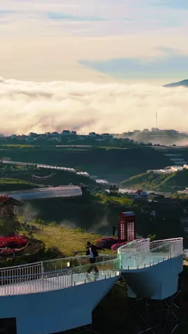Phú Quốc có cầu tình yêu ngắm biển 🌊, Đà Lạt có cầu tình yêu ngắm núi và mây ⛰☁. Tình yêu ở đâu cũng đẹp, chỉ cần có đúng người 💕#dalatcham #chuyencuanang 