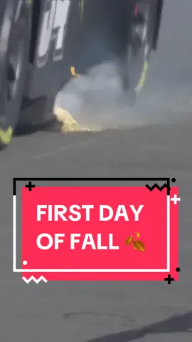 PUMPKIN EVERYTHING #NASCAR #Fall #autumn 
