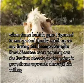 #relatable #fyp #giftok #foryoupage 
