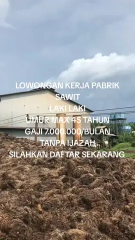 #lowongankerja #infoloker #pabriksawit #update #fyppppppppppppppppppppppp 