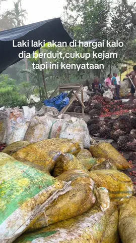 #fypppppppppppppppppppppppppppppp #sawitkalimantan 