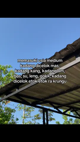 #4u #bismillahfypシ #foryoupage #jowostory #masukberanda 