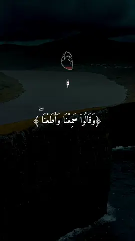#quran #qu_ran_n #qu_ran_nقرآن #quran_alkarim 