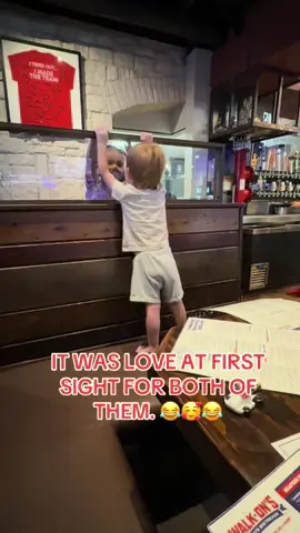 I could have watched them all day. They steamed and jumped and were so excited to meet each other.lol #Love #puppy #babiesoftiktok #ginger #kids 