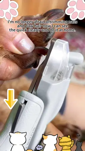 Best $15 I ever spent.I love a multifunctional tool 🐾free shipping  #tiktokshop #dogsoftiktok #dogsoftiktok #doglover #PetsOfTikTok #doggrooming #nailclippers #light #hairtrimmer #rechargeable #fyp #pet