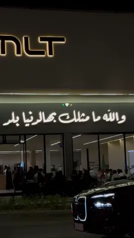 🤍🇸🇦#اليوم_الوطني_السعودي_٩٥ #القصيم_بريدة #fup 