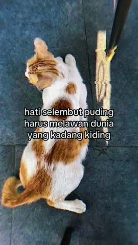 #CapCut #dutajj #fyppppppppppppppppppppppp 