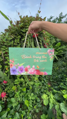 Hộp quà tặng bánh trung thu Chocmet vị trà xanh và khoai môn #trungthu #banhtrungthutruyenthong 