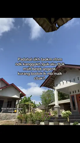 #fyppppppppppppppppppppppp #lomboktiktok_fyp 