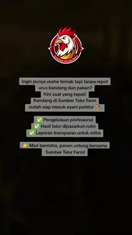 #kandangayam #peternakayam #ayampetelur #real #viral 