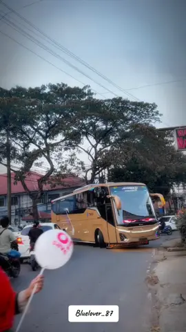 weeehh ini pujaan hatine sam@ributbudisantoso44 makin lancar trip2 wisatanya bestie#TAM #mercedes #busmania #fyp #fypシ 