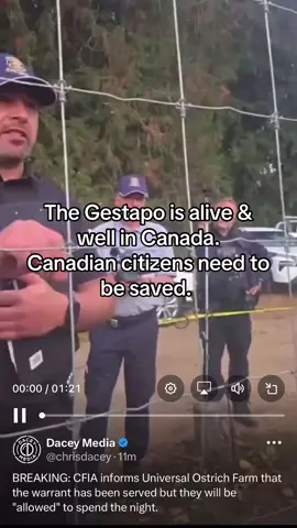 #savetheostriches #canadahasfallen #usa🇺🇸 #liberalsaredestoryingcanada 