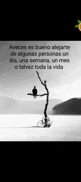 Frases y Reflexiones de la vida 