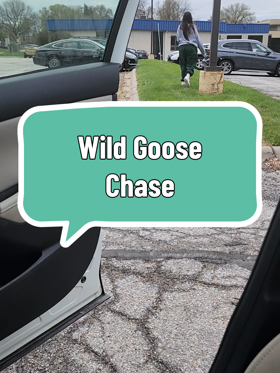 Teen logic: goose = feathered puppy 🐾🪿 #TeenageLife  #pov  #ParentingHumor  #teenagers  #TikTokFunny 