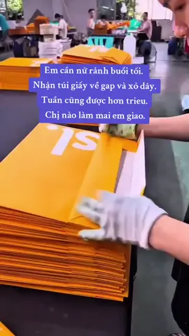 #viral #fyp #kiemtientiktok #vieclamtainha #giacongtainha 
