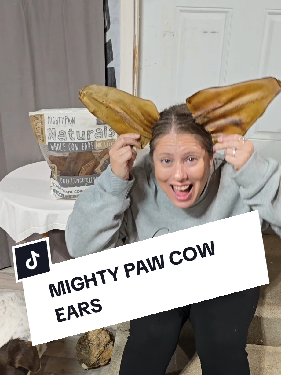 Replying to @loyal_taytay @Mighty Paw #mightypaw #cowears #dogchews #dogchew #dogtreats 