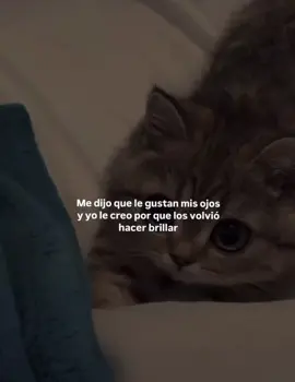💕#paratiiiiiiiiiiiiiiiiiiiiiiiiiiiiiii #paratii #amor #gatos  #foryou 