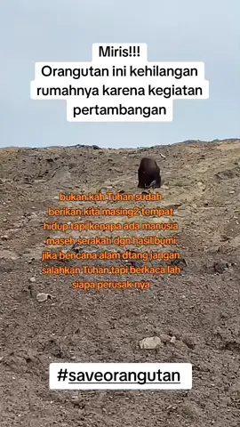#save animals indonesia#plis help#♥ 