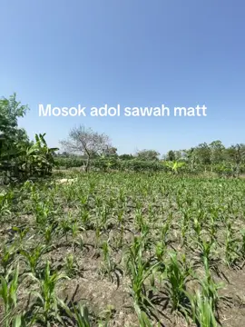 Harta terakhir matt#fypシ #beranda #fyppppppppppppppppppppppp #lewatberanda #foryou 
