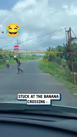 #traffic #banana #road 