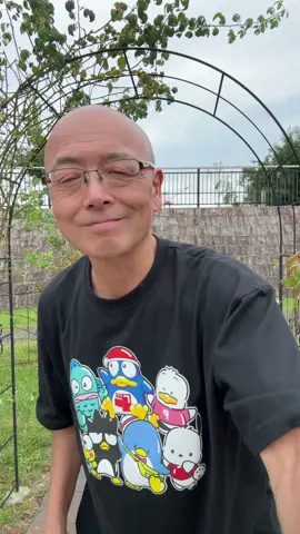 しまけたけど緩やかに風が心地よい😌