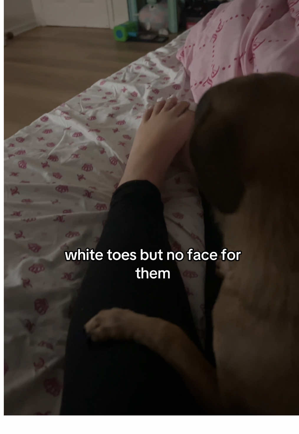 not my dog covering my feet