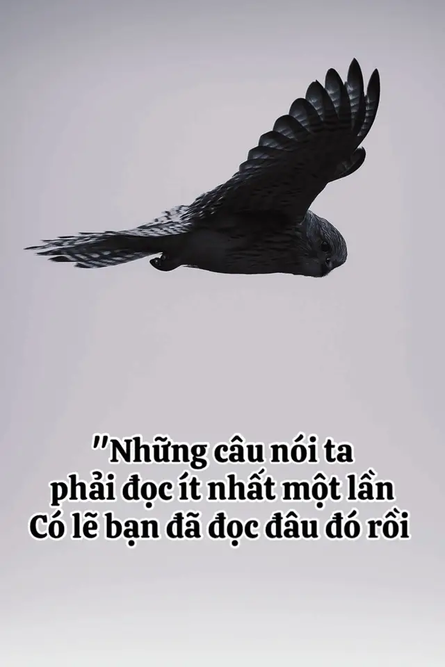 #tamtrangbuon #phatphapnhiemmau #trietlycuocsong #trichdẫnhay #hanhtrinh 