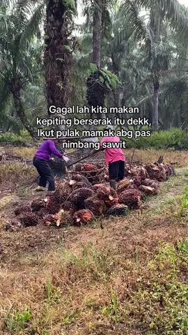 Sabar lah dek biar abg susun rencana lagi#kuliayah🌴⚡ #kuliboy🤙😜🚀 #sawitayah #bismilahrame #fypシ #fypage #fypviralシ 