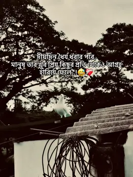দীর্ঘদিন ধৈর্য ধরার পরে,মানুষ তার খুব প্রিয় কিছুর প্রতি থেকেও আগ্রহ হারিয়ে ফেলে..!😅❤️‍🩹 #foryou  #the_spydoo 