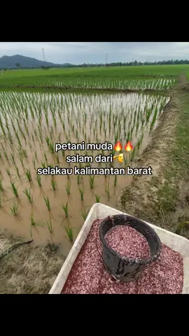 #sambaspride⚡ #katekatebiaksambas #berandatiktok #kalimantanbarat #fypシ゚ 