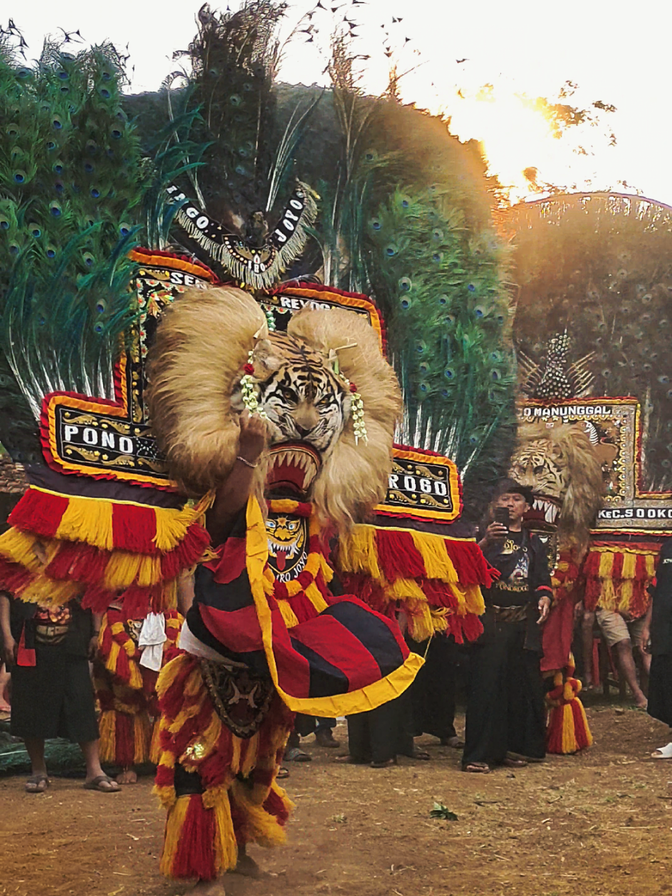 haaaoooo.. #fyppppppppppppppppppppppp #fyp #masukberanda #reog #reogponorogo 