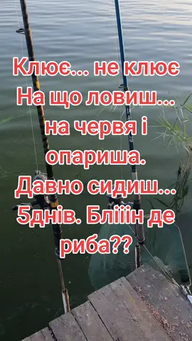 #рибалка #невгамовна #позитив #рибачка 