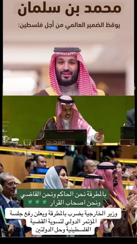 ‏⁧‫#السعودية_تقود_الاعتراف_بفلسطين‬⁩ #مشاهدات #مشاهدات100k🔥 #اكسبلور 