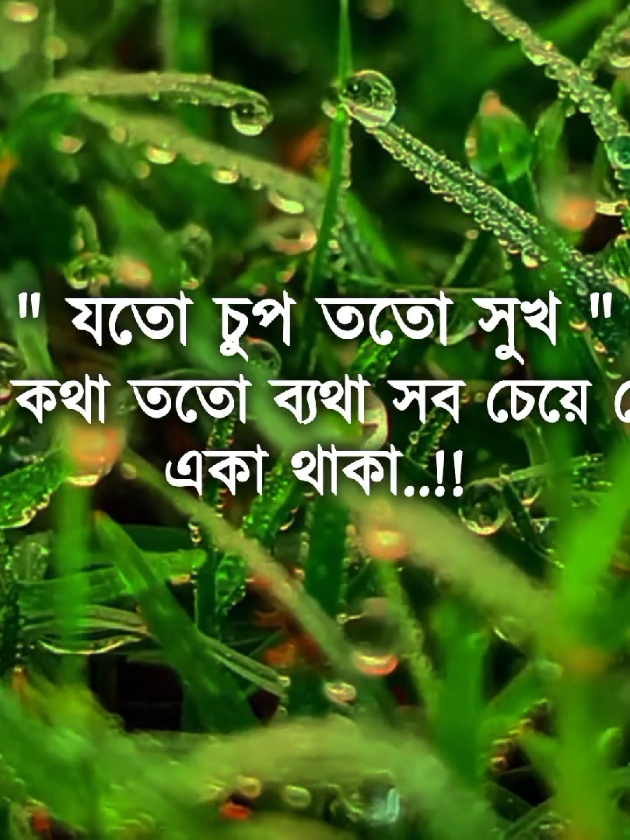 মন মাঝি খবরদার#foryou #tiktok #foryoupage #trending @TikTok Bangladesh 