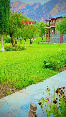 #chitral #viral #trending 