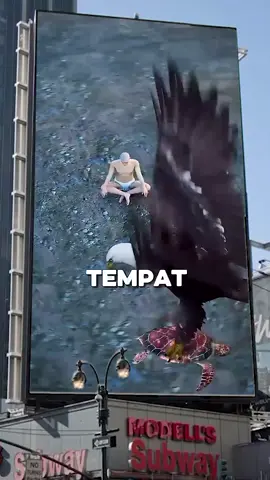 Seekor burung Elang mengahabisi nyawa seorang Manusia berkepala botak 😱😱 #tragedy #burung  #elang #memakan #korban 