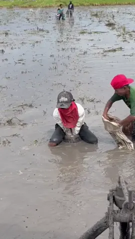 musimm bakaq kulit , lopak rahsiaa 😆