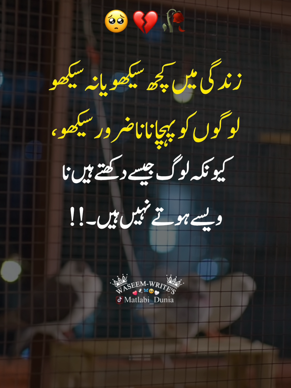 Uffff these Lines Yar 🥹💯🥺🥀deep Lines yar 🥺🥀 alone  #sadlines💔 #deeplinespoetry🥀 #foryou #foryoupage#viral_video   