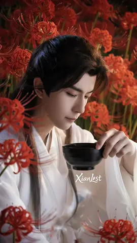 Beneath the Red Spider Lilies · Where All Anguish Is Forgotten (Mạn Châu Sa Hoa · Vong Tận Nhất Thiết Sầu Thương) #xianlost #thantienlac #xianxia #cotrang #YuMenglong 