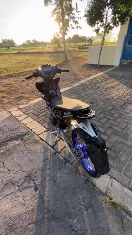 #y15zr 