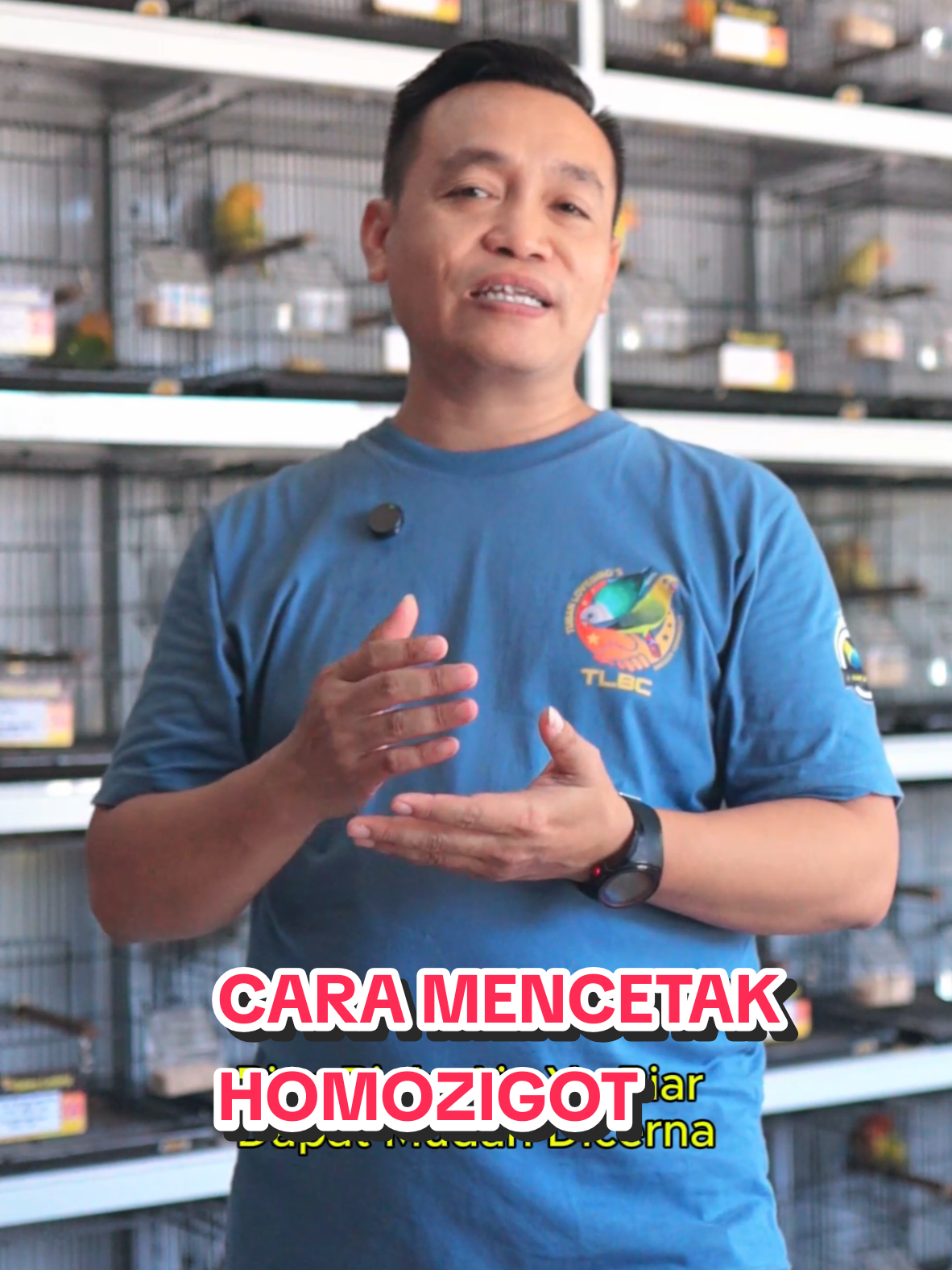 Assalamualikum..izin senior dan para suhu di dunia Per Lovebrid tan ..utuk melanjutkan atau menambahi informasi yg tempo hari kami poss di FB ...banyak yg menelpon dan yg bertanya BAGIMANA MENCETAK  BIO YF AQUA HOMOZIGOT dengan MATERI APA. X APA  ? Jawaban nya ada di video ini... Mhon di maaf kan kalau jawab pan dan penyampian yg kurang bisa di tanyakan di chet wa saja teman2.. dan mhon di koreksi bila ada penyampean secara teori kalau ada yg salah mhon di maaf kan...#lovebird #lovebirdmutasi #mutasilovebird #lovebirdindonesia#birdlovers 