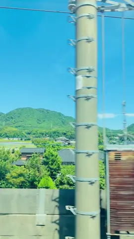 さわやかでなんだか 日本の夏🌿  #japan #japanlife #田舎 #田舎暮らし 