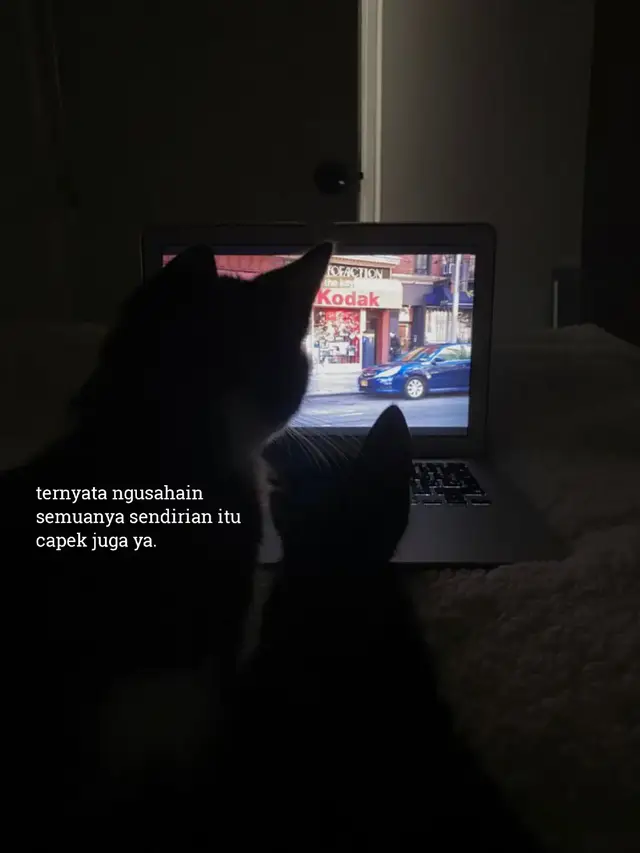 ••• 📝Bahan-bahan: -1 ekor ayam kampung (sekitar 1 kg), potong kecil-kecil -200 gr cabai rawit (sesuai selera pedas) -10 siung bawang merah -5 siung bawang putih -3 batang serai, memarkan -5 lembar daun jeruk -1 ruas lengkuas, memarkan -1 sdm ketumbar bubuk -1 sdt kunyit bubuk (atau 2 cm kunyit segar) -1 sdt merica bubuk -1 sdm gula merah sisir -Garam secukupnya -Kaldu bubuk (opsional) -Minyak untuk menumis -Air secukupnya Cara Membuat: 1. Haluskan bumbu Ulek/blender cabai rawit, bawang merah, bawang putih, ketumbar, kunyit, dan merica hingga halus. 2. Tumis bumbu Panaskan sedikit minyak, tumis bumbu halus bersama serai, daun jeruk, dan lengkuas hingga harum dan matang. 3. Masukkan ayam Tambahkan potongan ayam, aduk hingga berubah warna dan bumbu meresap. 4. Tambahkan air & bumbu pelengkap Tuang air secukupnya, lalu beri gula merah, garam, dan kaldu bubuk. Aduk rata. 5. Masak hingga meresap Masak dengan api sedang sampai ayam empuk, air menyusut, dan bumbu meresap pekat. 6. Koreksi rasa Cicipi, sesuaikan rasa pedas, asin, dan manisnya. 👉 Ayam Palekko biasanya disantap dengan nasi hangat atau burasa (lontong khas Bugis). Selamat Mencoba!!!  #fyppppp #foryoupage #masukberandafyp 