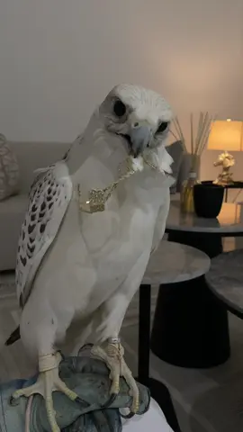 اي والله احلى🤍. 