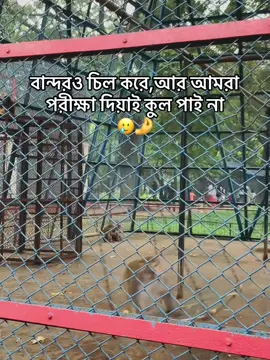 🥲🥲#foryoupage #fypシ゚ #tiktok #funnycaptions #trending 