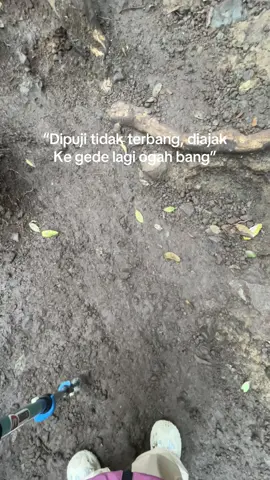 Ampun pokoknya #gununggede #gununggede2958mdpl #pendakifomo 