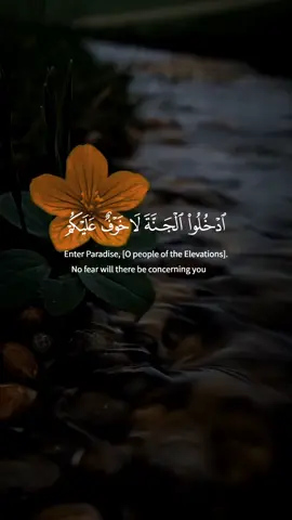 ادخلوا الجنة لاخوف عليكم ولا أنتم تحزنون #سعد_الغامدي #قران #quran #سورة_الاعراف #viral 