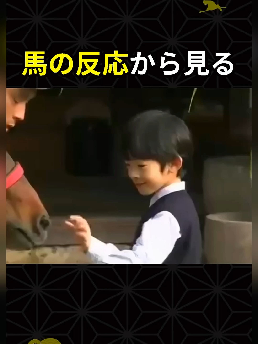 ㊗️80万回再生🎉悠仁さまは本当に優秀なお子様だったのだろうか… #敬宮殿下 #