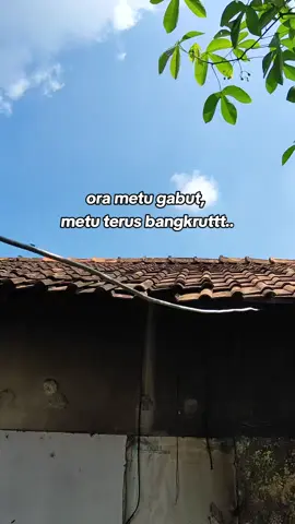 Teman biasa🎶🎧💃 #temanbiasa #ceksound #fypage 
